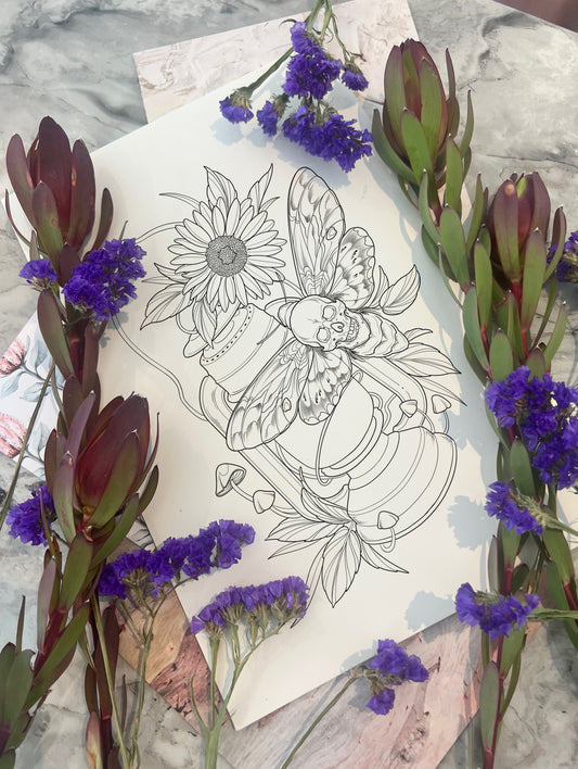 (Lantern) pre-drawn design