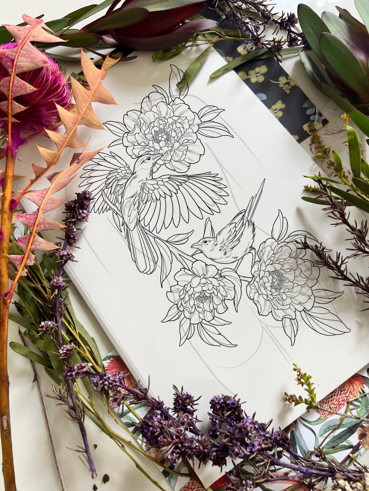 (Birds and peonies) pre-drawn design