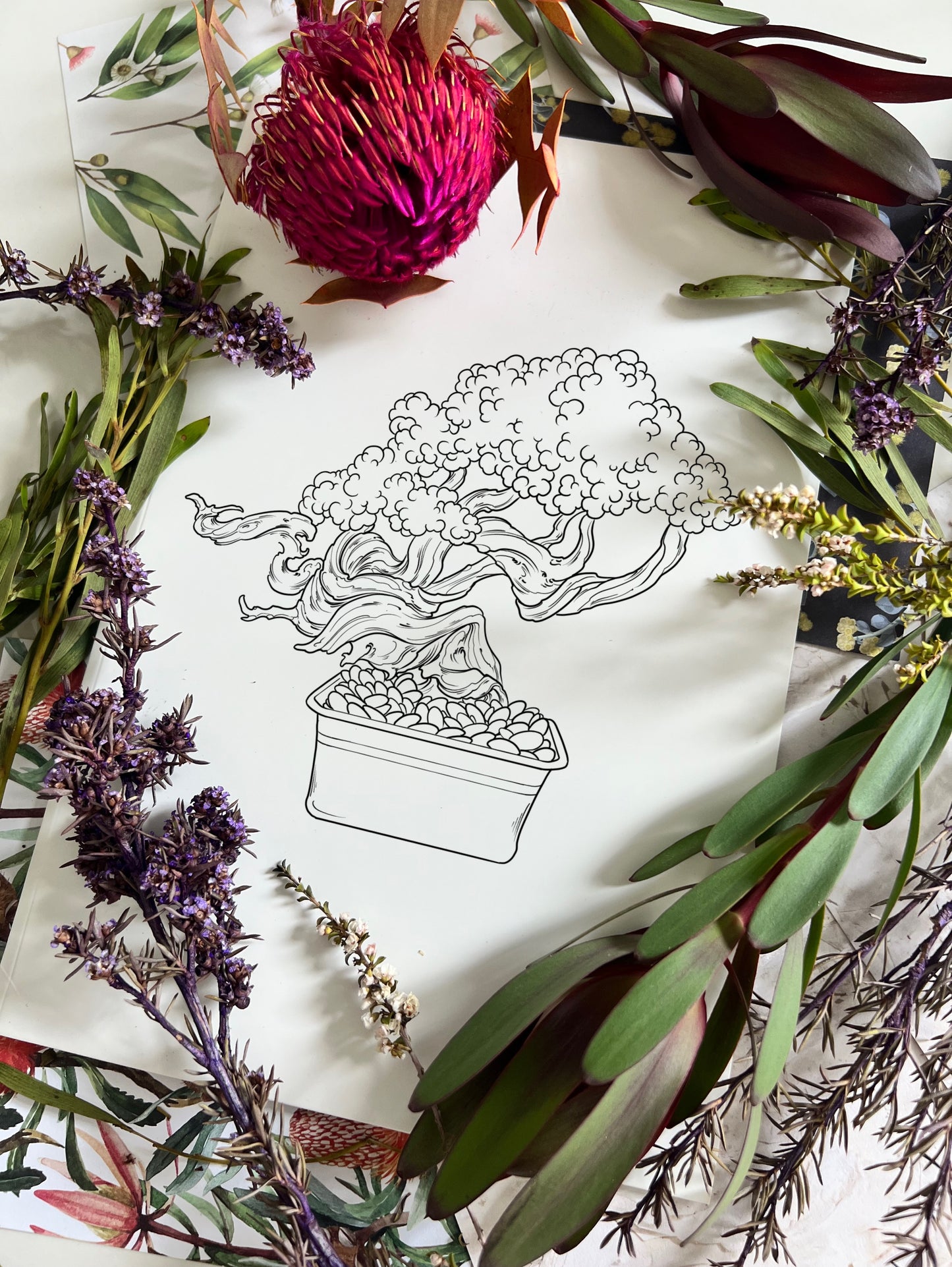 (Bonsai) pre-drawn design