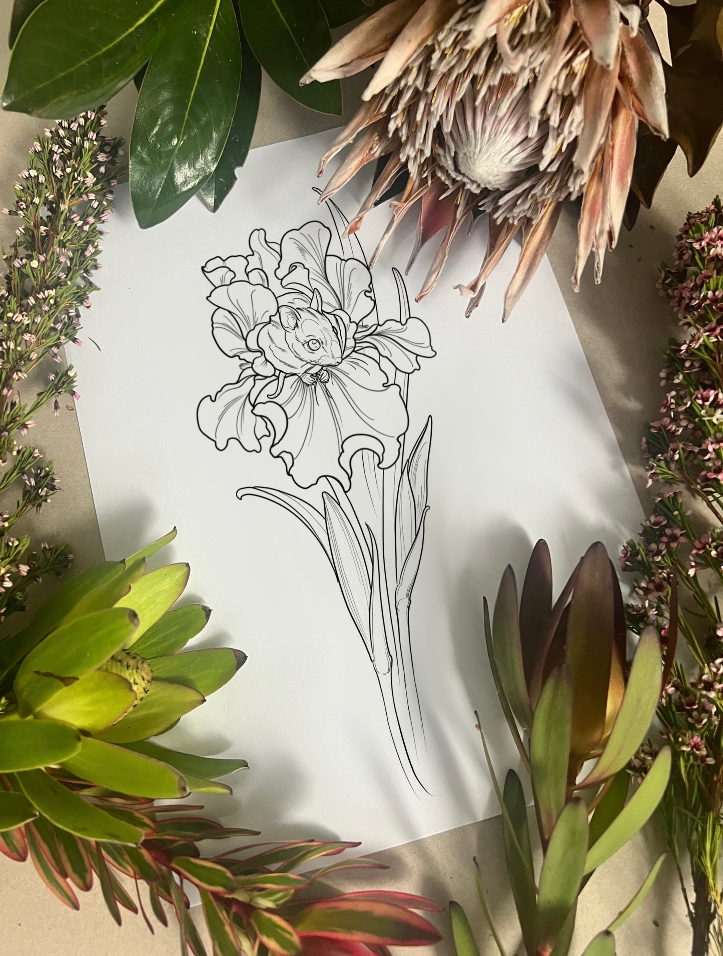 (Mouse and iris) pre-drawn design