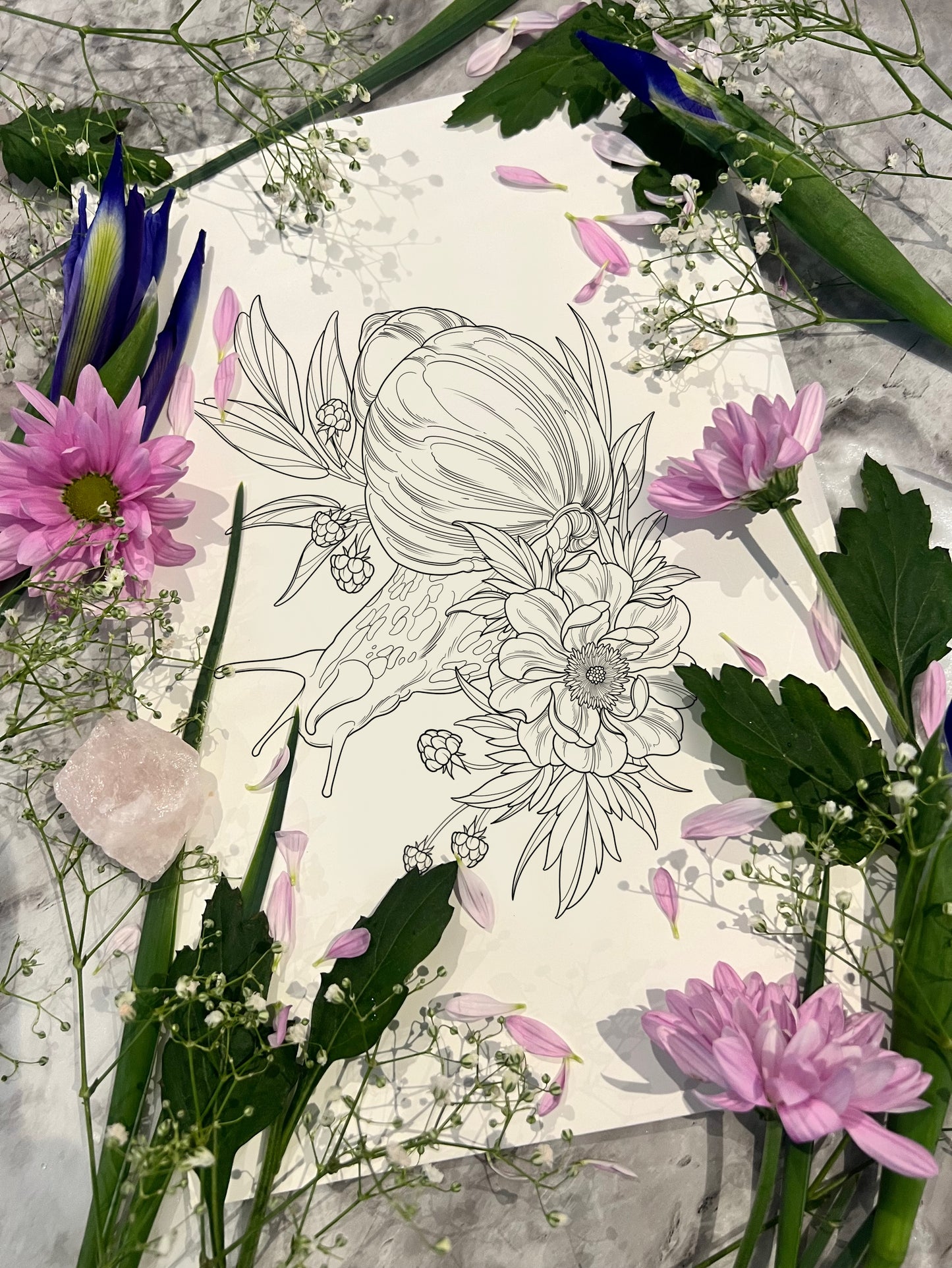 (Garden snail) pre-drawn design