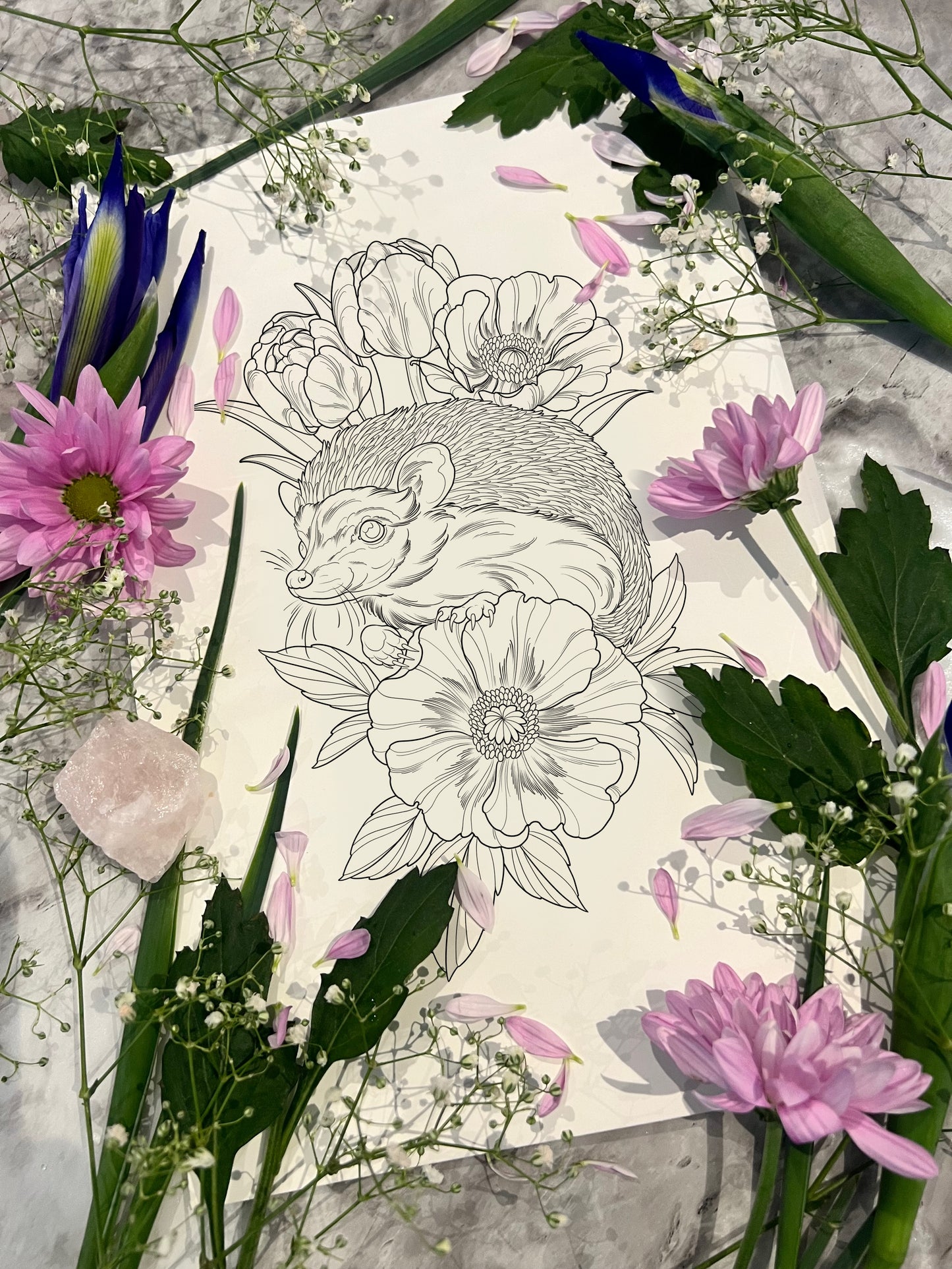 (Hedgehog) pre-drawn design