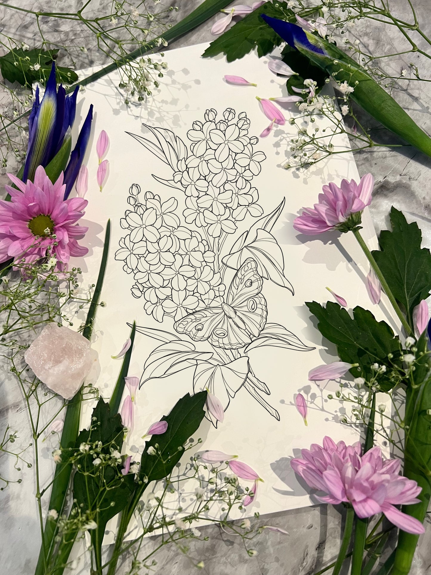 (Lilacs) pre-drawn design