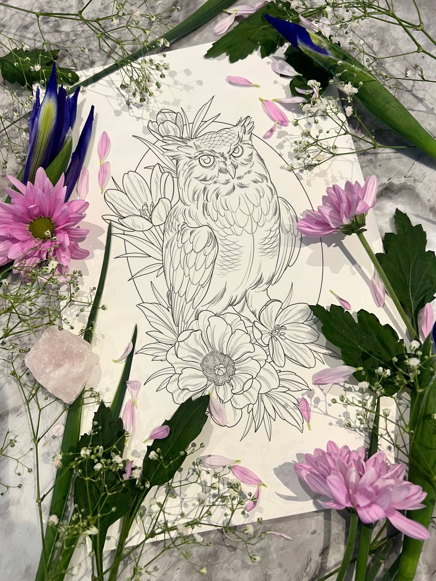 (Horned owl) pre-drawn design