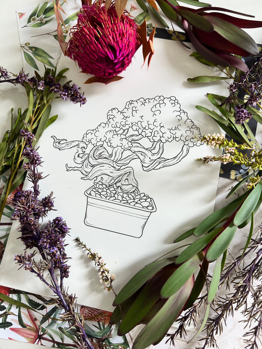 (Bonsai) pre-drawn design