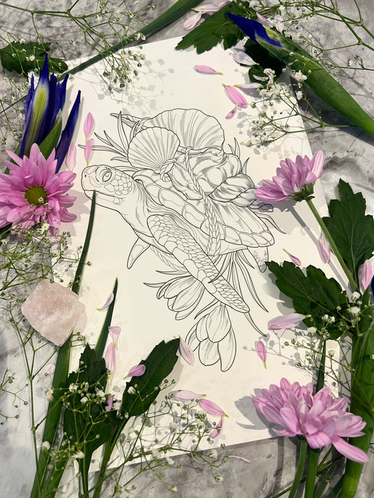 (Turtle and shells) pre-drawn design